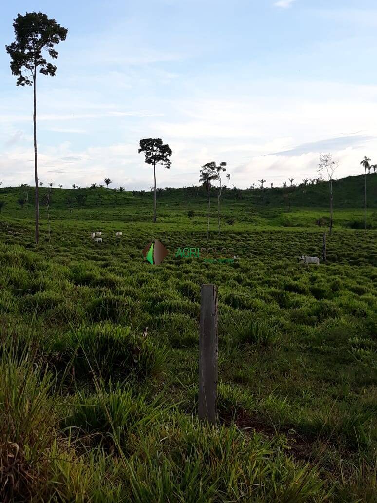 Terreno, 4200 m² - Foto 6