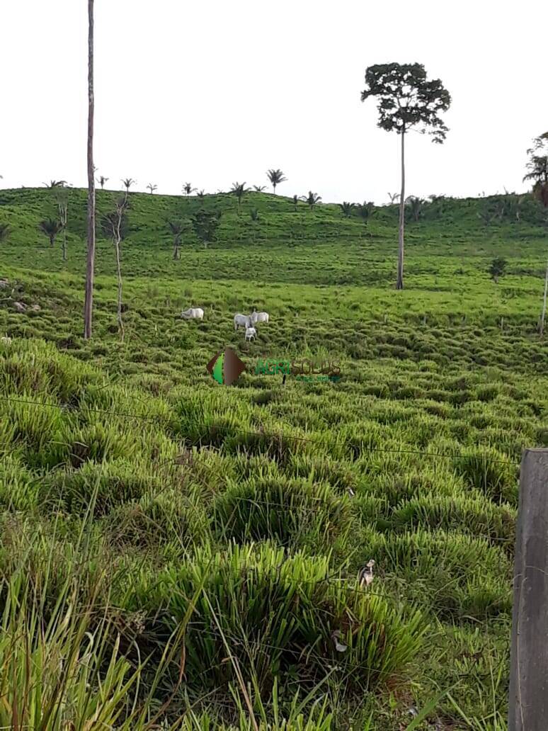 Terreno, 4200 m² - Foto 7