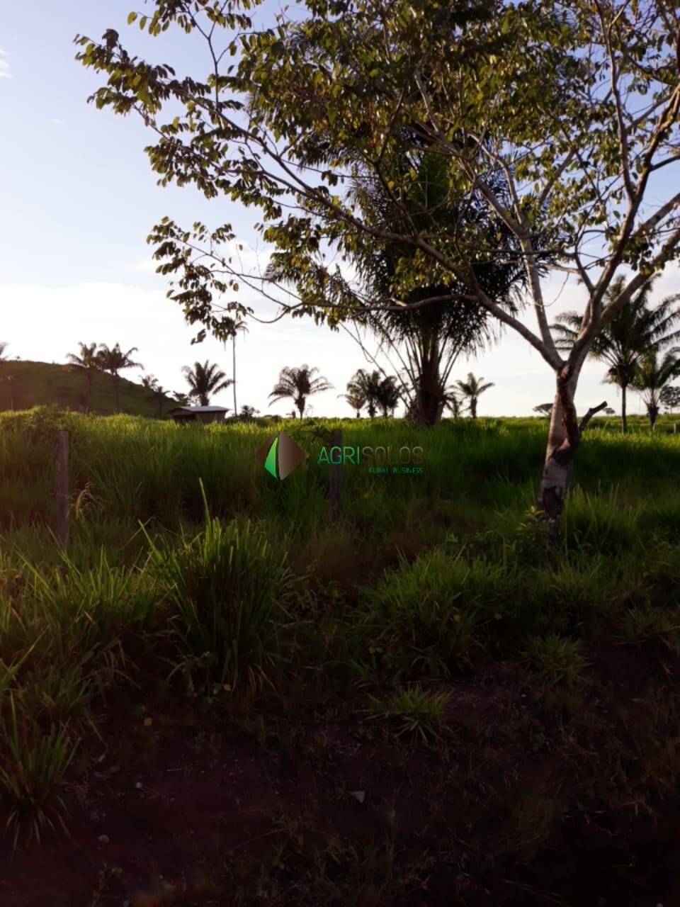 Terreno, 4200 m² - Foto 11