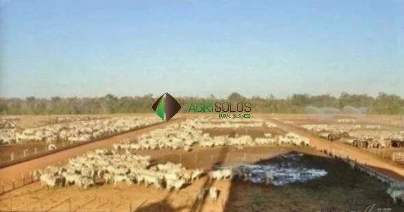 Terreno, 1 hectares - Foto 42