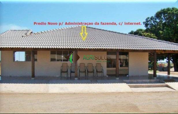 Terreno, 1 hectares - Foto 43