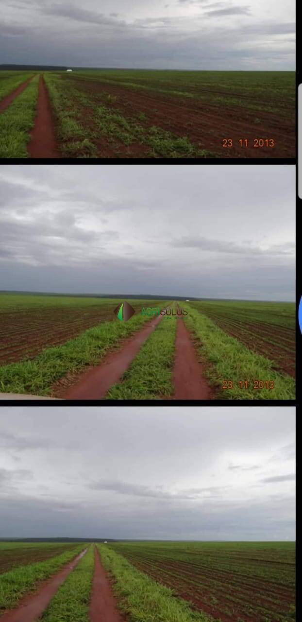 Terreno, 2 hectares - Foto 7