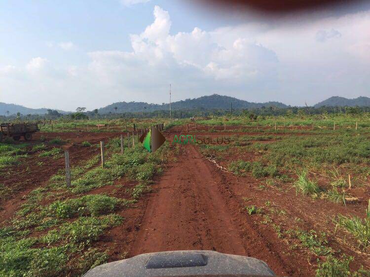 Terreno, 3 hectares - Foto 1