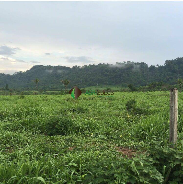 Terreno, 3 hectares - Foto 9