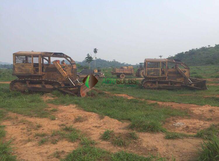 Terreno, 3 hectares - Foto 11