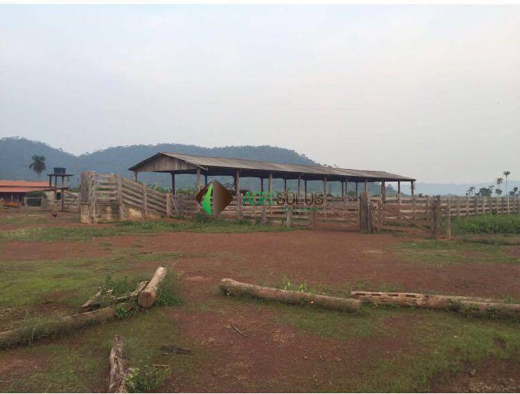 Terreno, 3 hectares - Foto 10