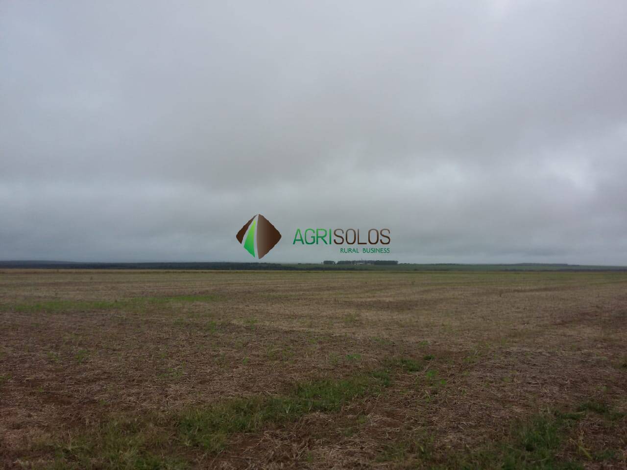 Terreno, 10000 m² - Foto 10
