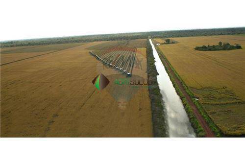 Terreno, 4 hectares - Foto 1