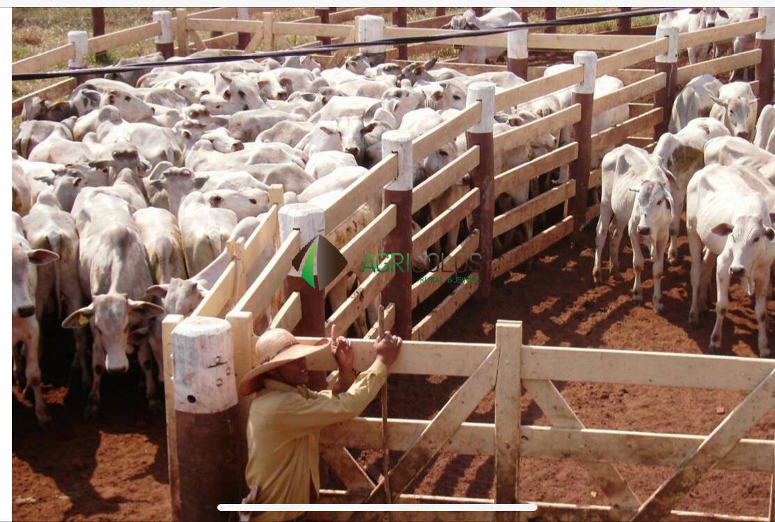 Terreno, 5650 m² - Foto 3