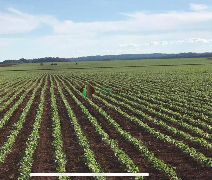 Terreno, 5650 m² - Foto 7