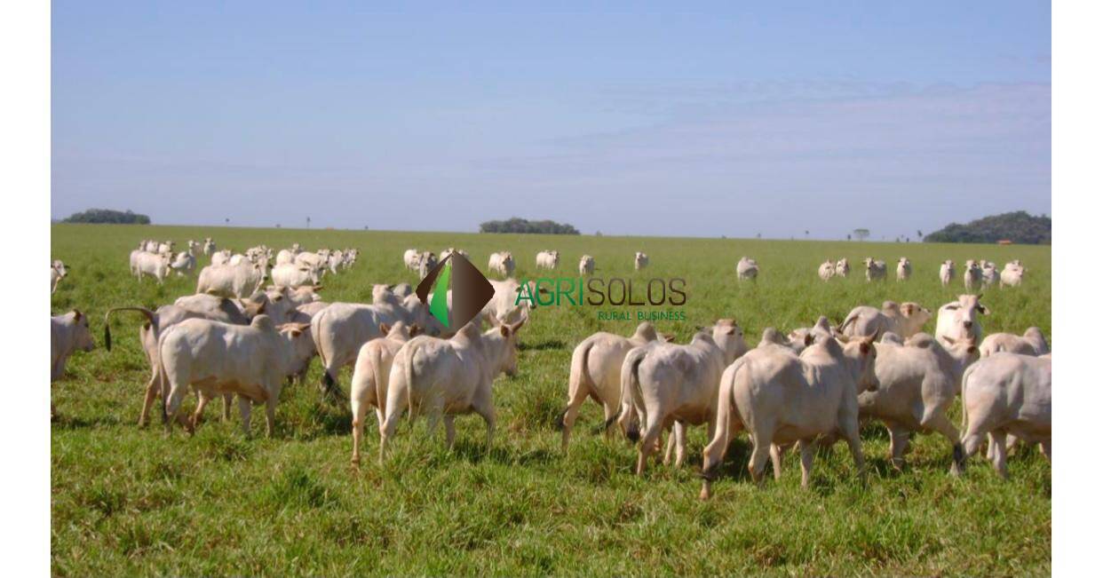 Terreno, 5650 m² - Foto 11