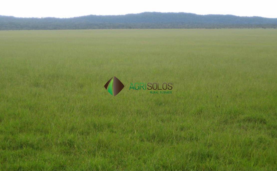 Terreno, 5650 m² - Foto 13