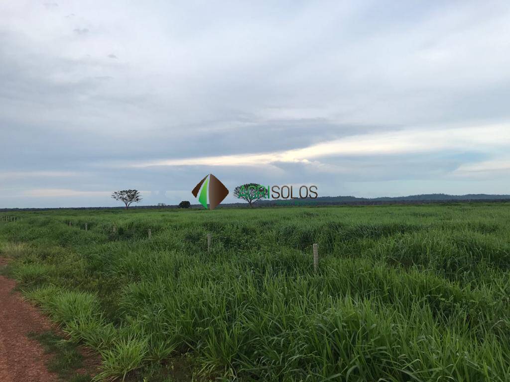 Terreno, 5 hectares - Foto 8