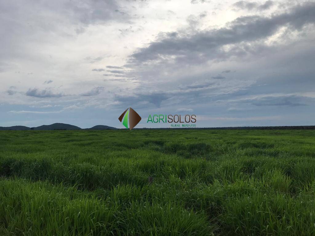 Terreno, 5 hectares - Foto 7