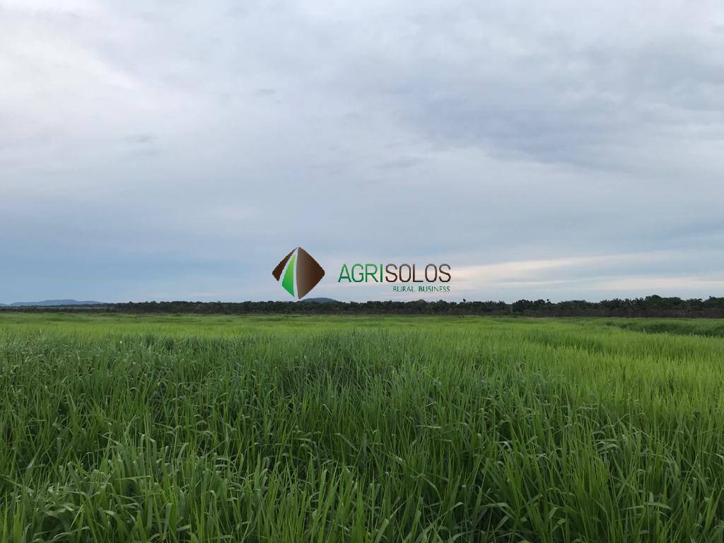 Terreno, 5 hectares - Foto 9