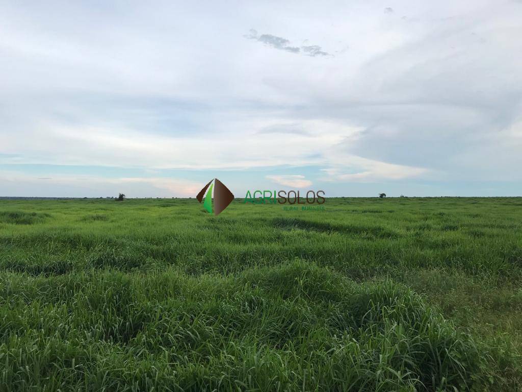 Terreno, 5 hectares - Foto 10