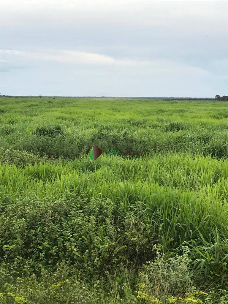 Terreno, 5 hectares - Foto 12