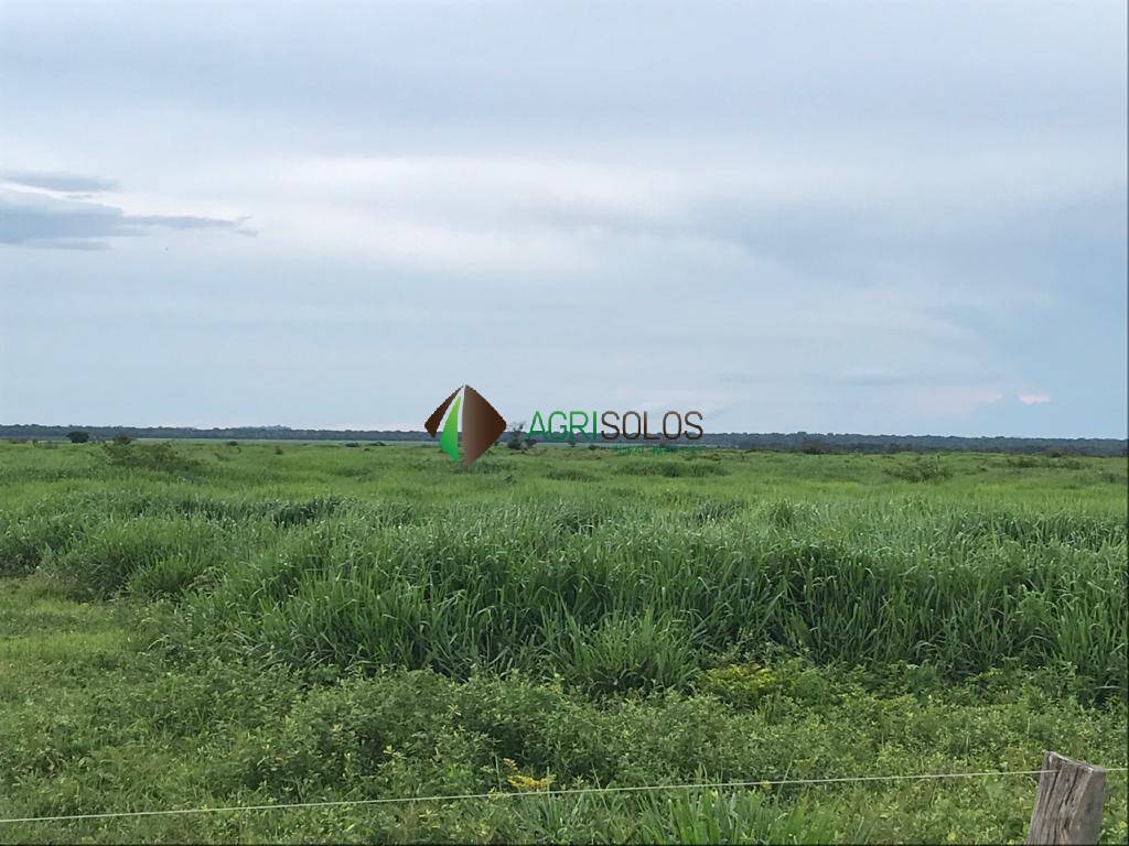 Terreno, 5 hectares - Foto 11