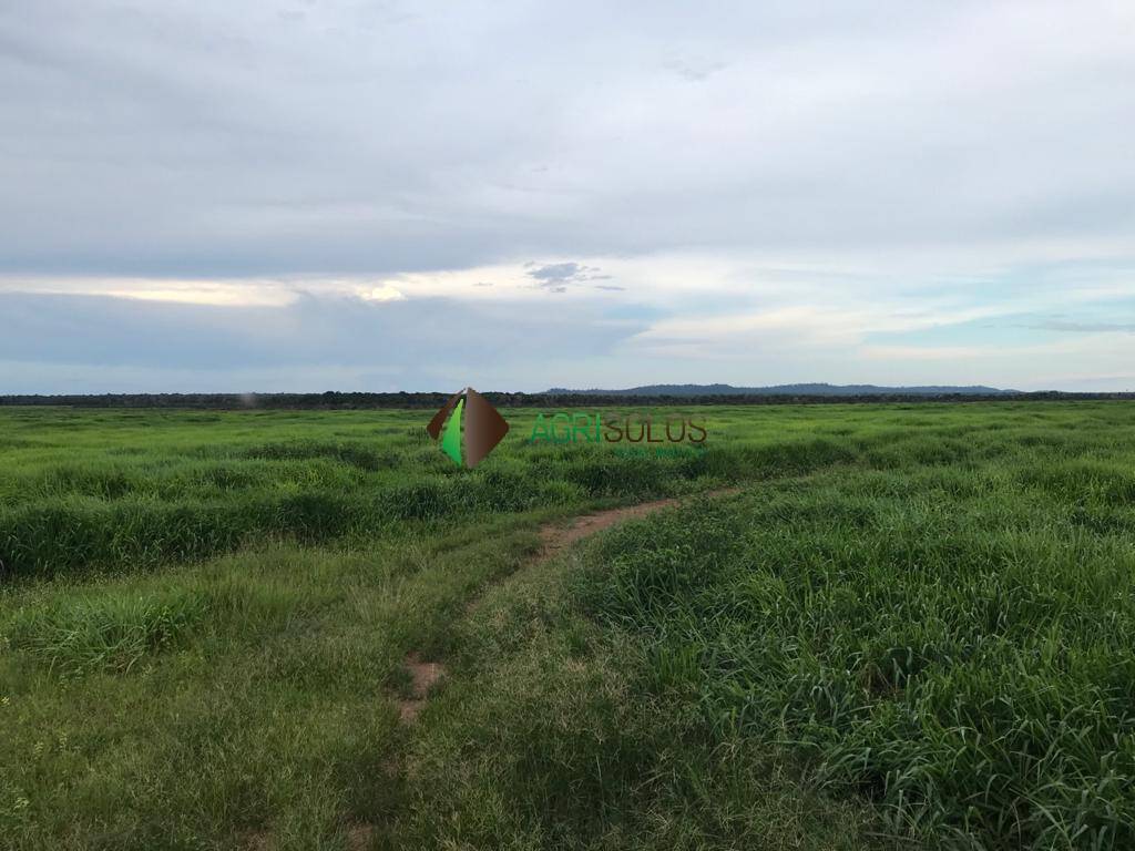 Terreno, 5 hectares - Foto 13