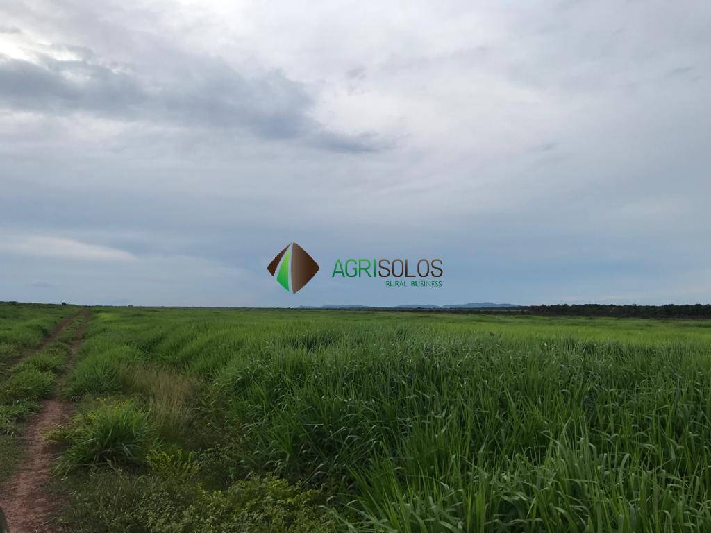 Terreno, 5 hectares - Foto 14