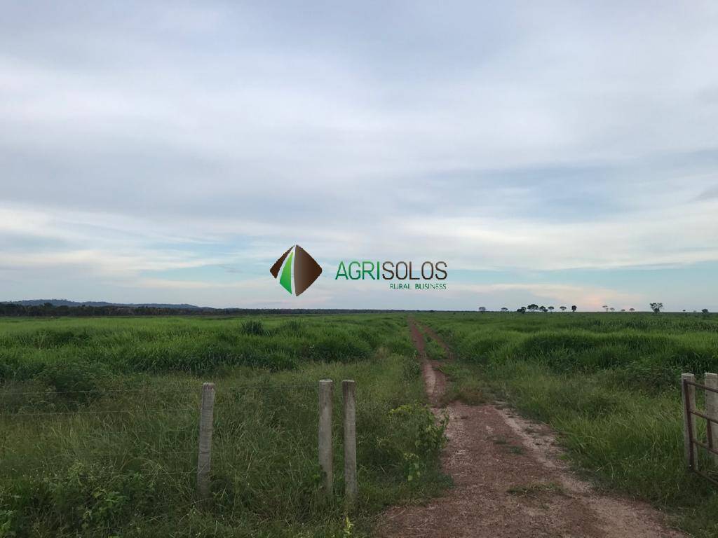 Terreno, 5 hectares - Foto 15