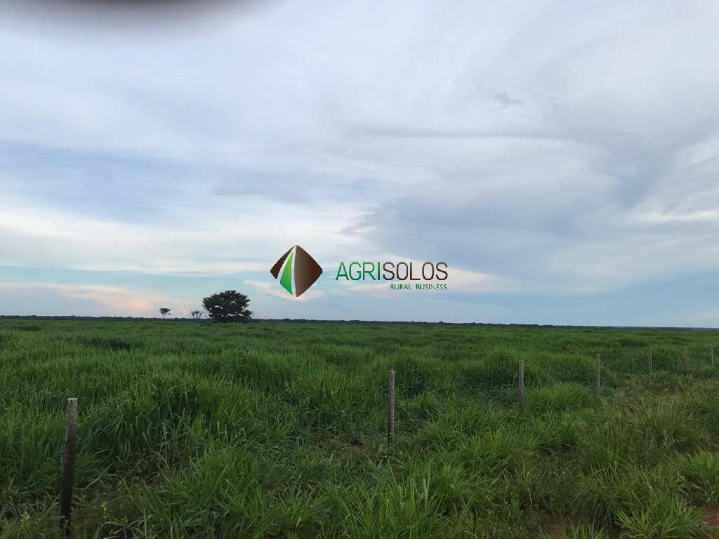 Terreno, 5 hectares - Foto 16