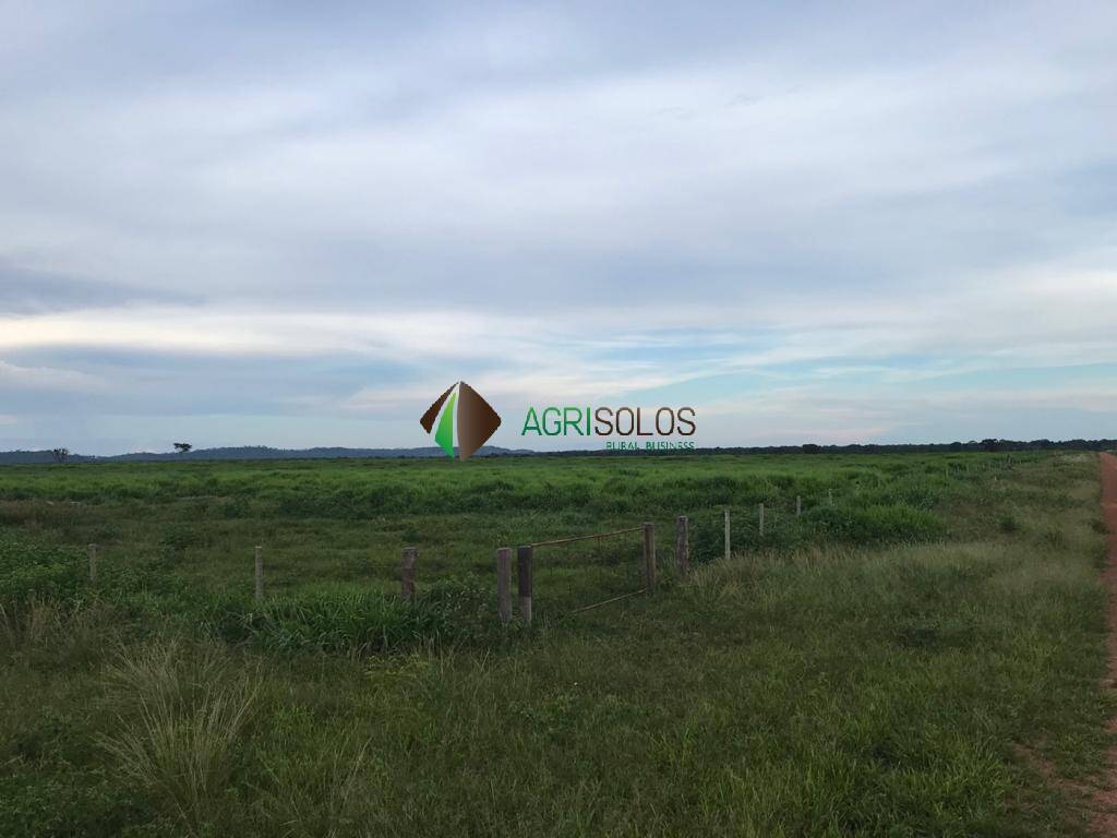 Terreno, 5 hectares - Foto 18