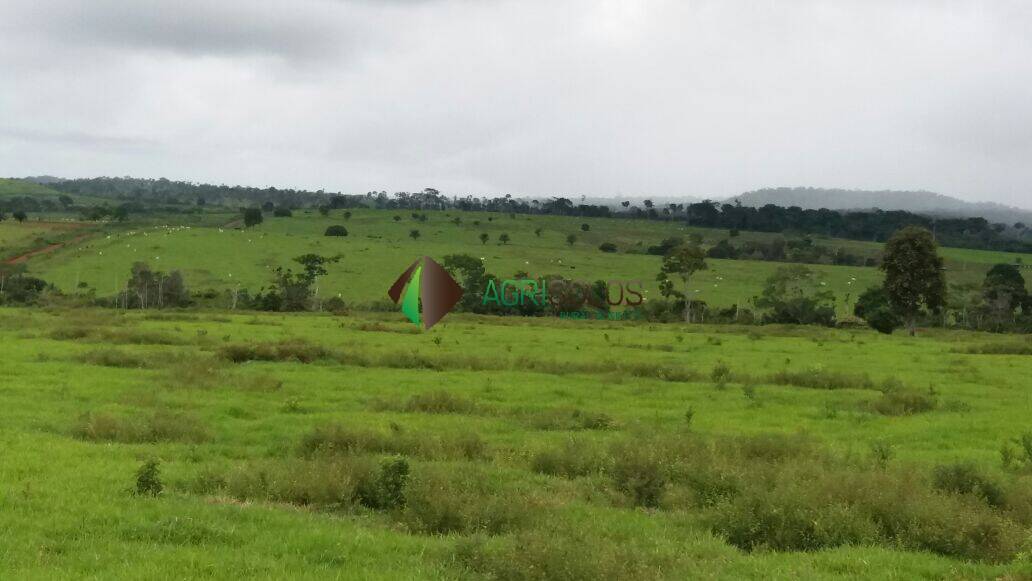 Terreno, 5 hectares - Foto 21