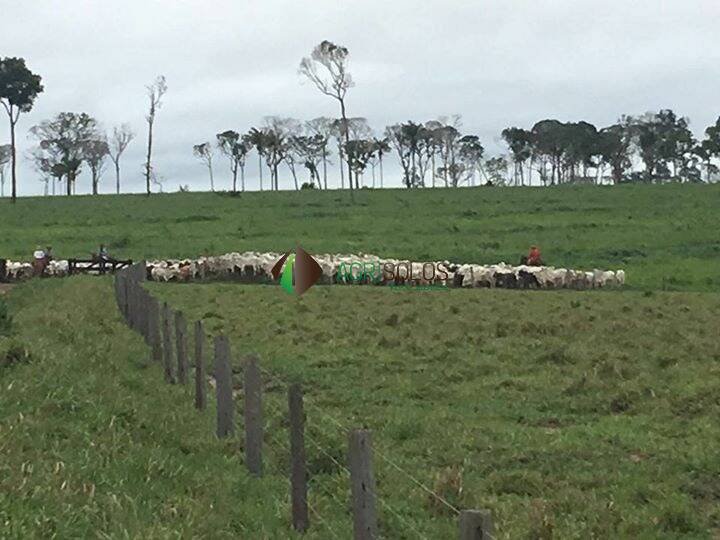 Terreno, 5 hectares - Foto 20