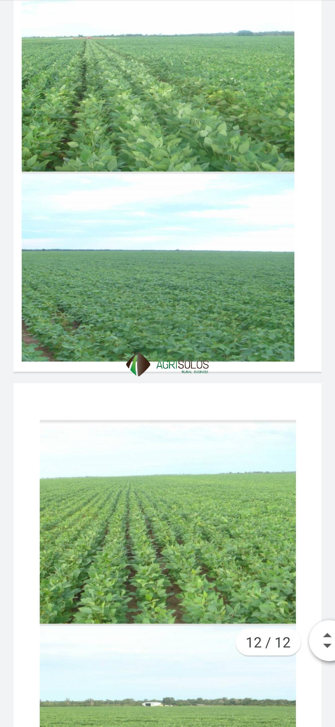 Terreno, 4000 m² - Foto 6