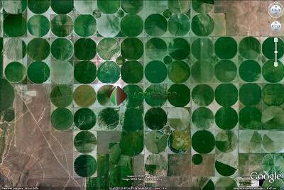 Terreno, 5 hectares - Foto 2