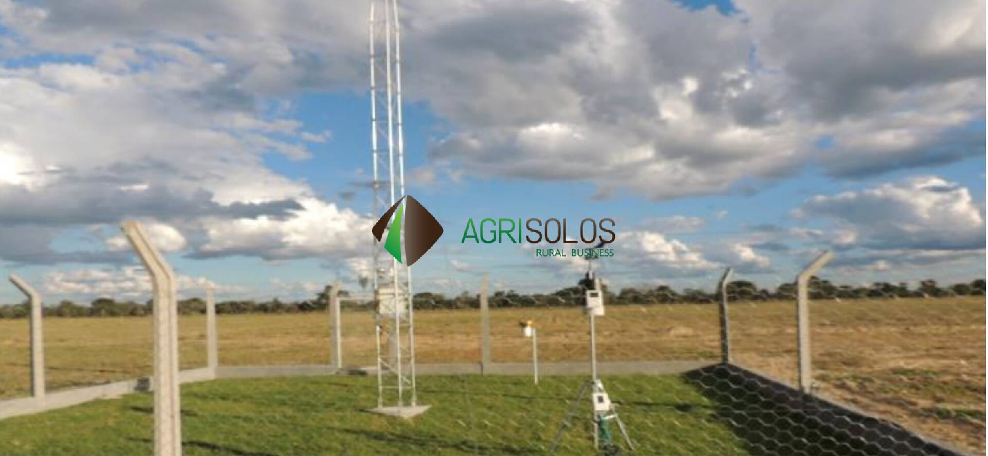 Terreno, 5 hectares - Foto 4