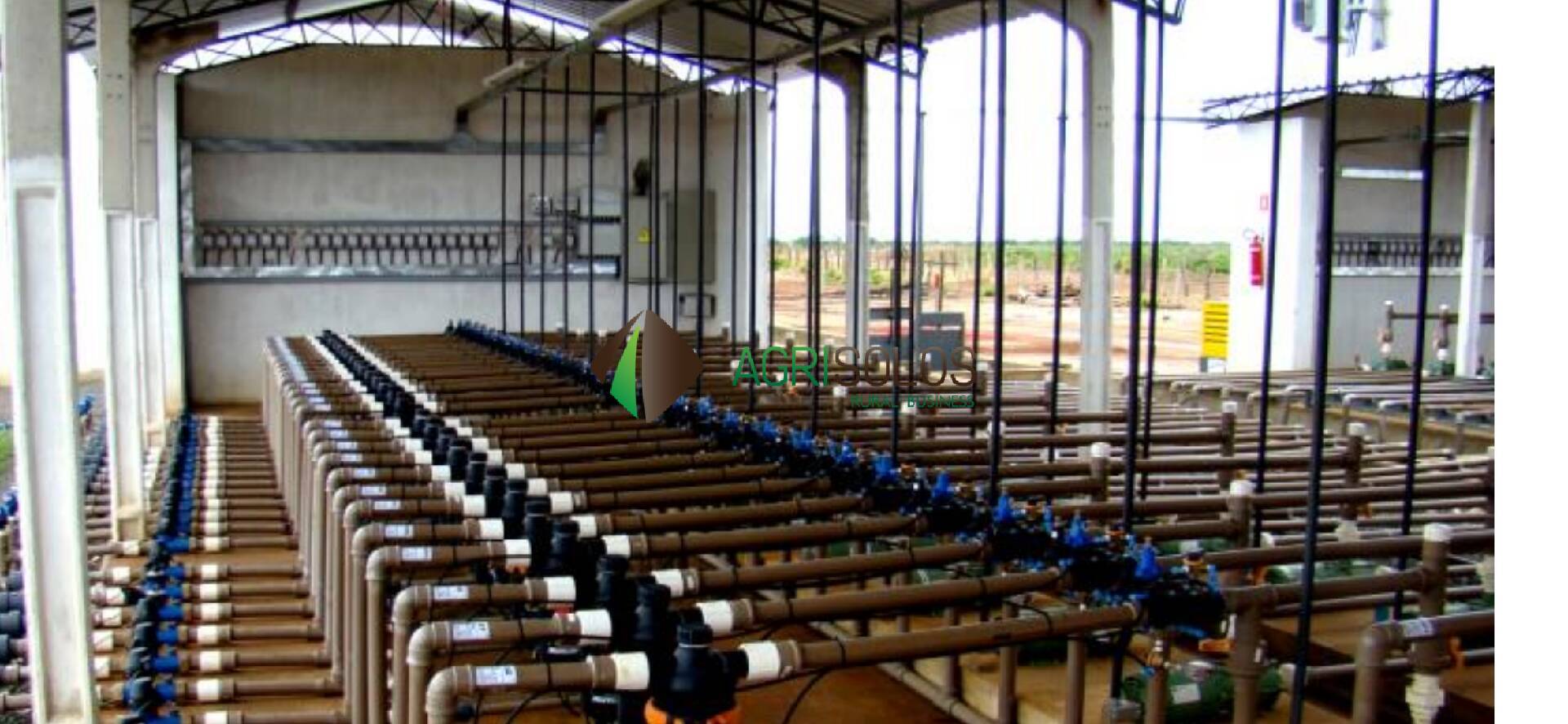 Terreno, 5 hectares - Foto 7