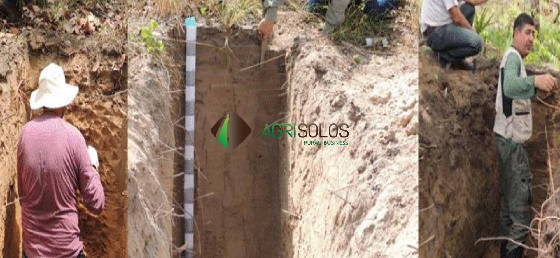 Terreno, 5 hectares - Foto 8