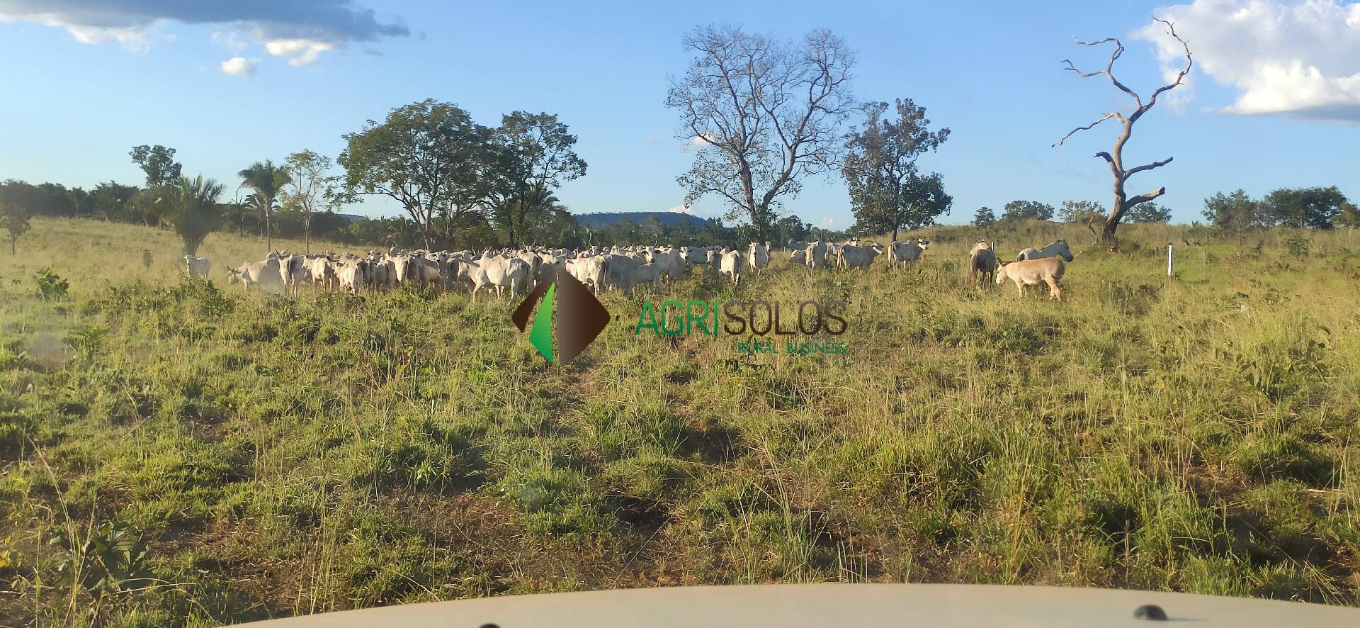 Terreno, 67 hectares - Foto 3