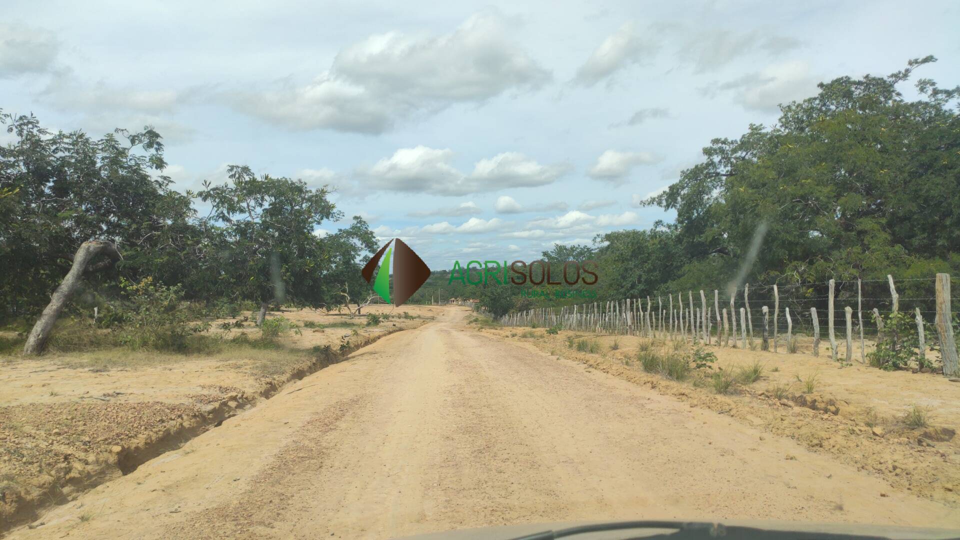 Terreno, 67 hectares - Foto 6