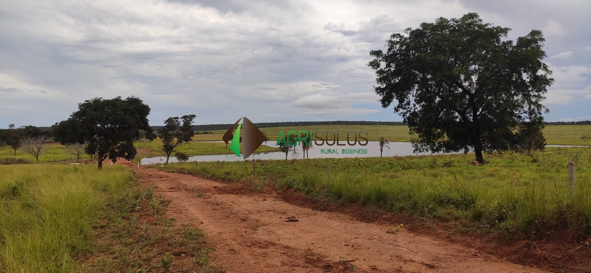 Terreno, 67 hectares - Foto 10