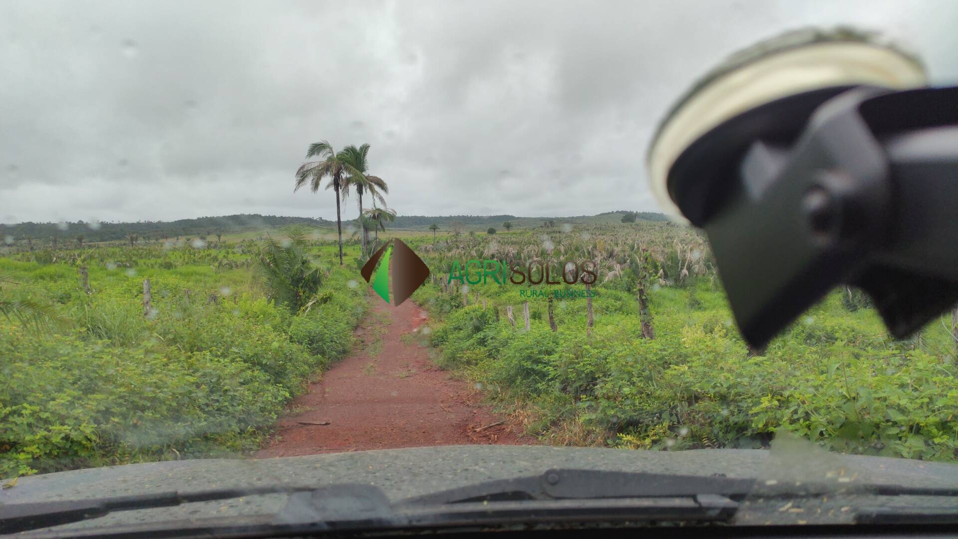 Terreno, 67 hectares - Foto 12