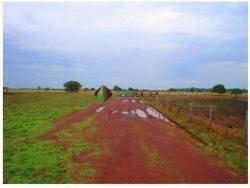 Terreno, 67 hectares - Foto 15