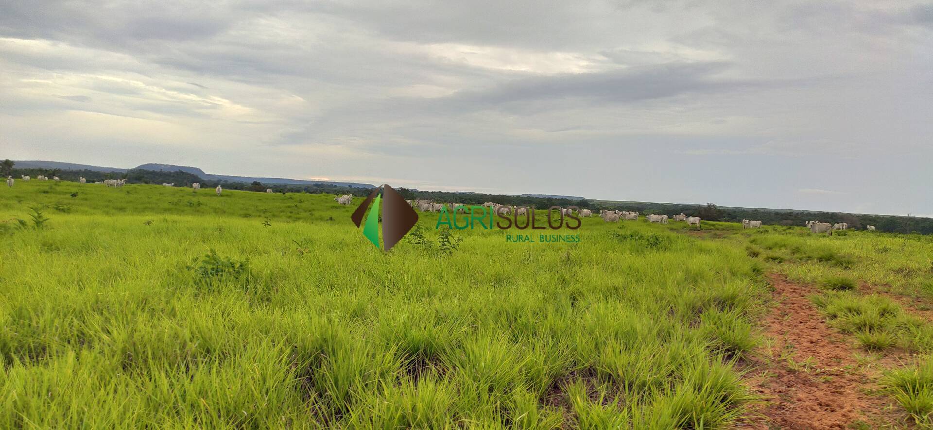Terreno, 67 hectares - Foto 18