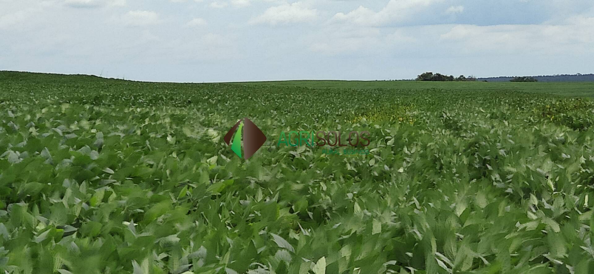 Terreno, 67 hectares - Foto 1