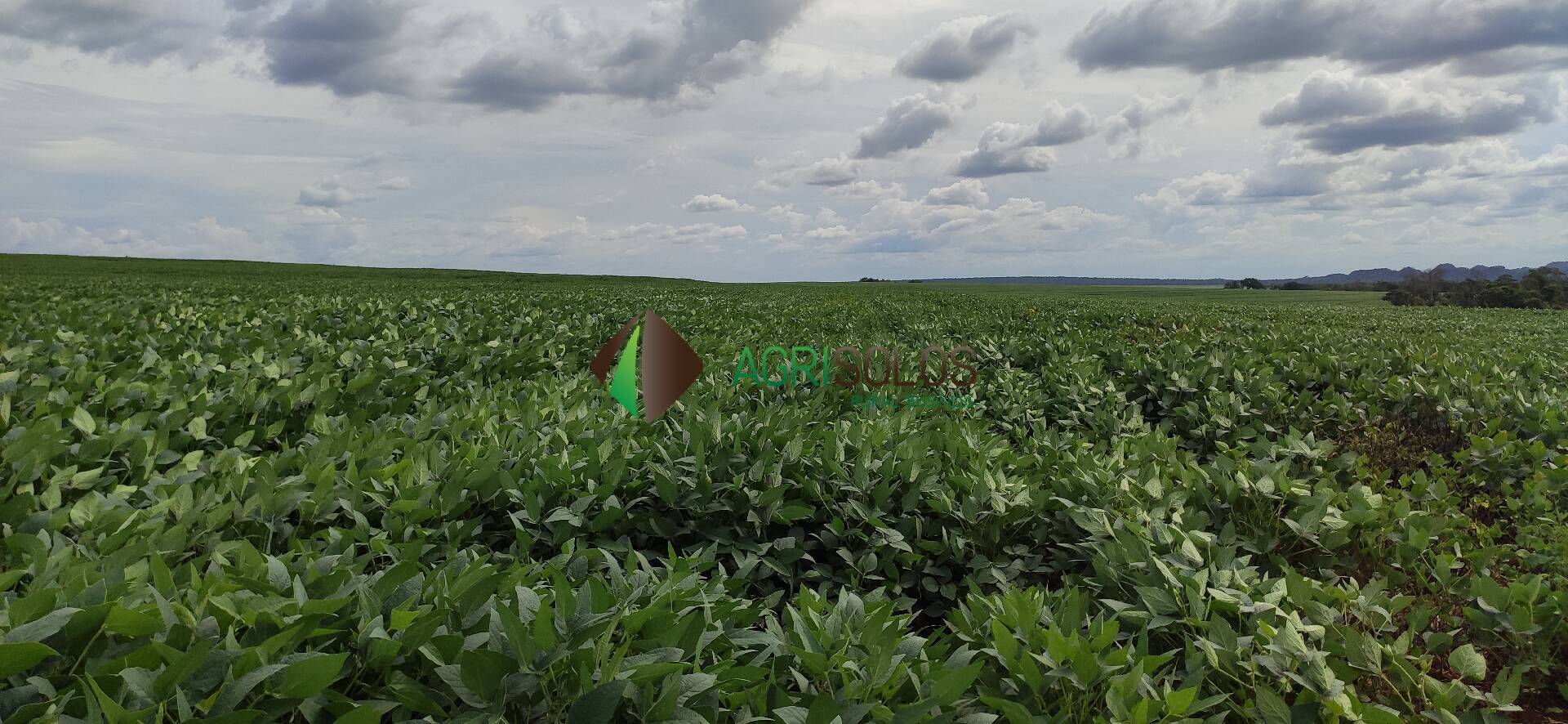 Terreno, 67 hectares - Foto 19