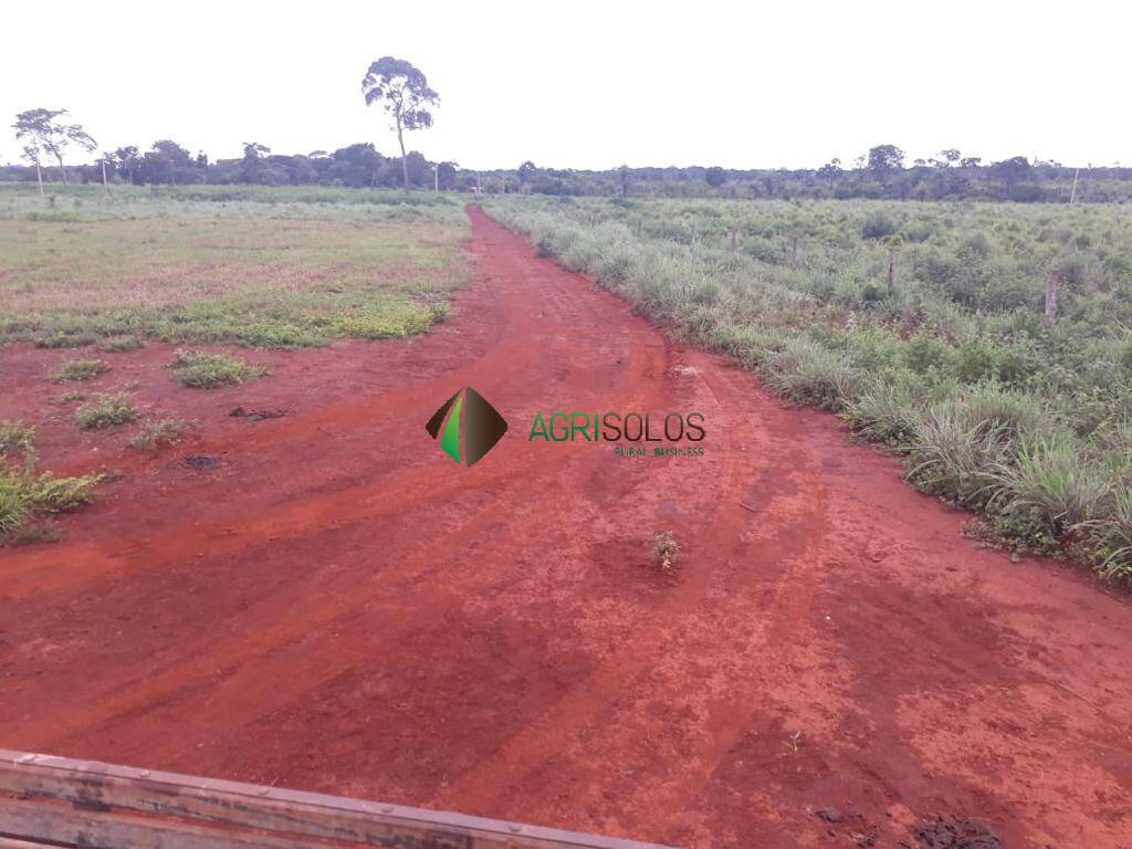 Terreno, 5000 m² - Foto 3