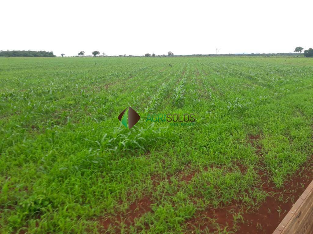 Terreno, 5000 m² - Foto 2
