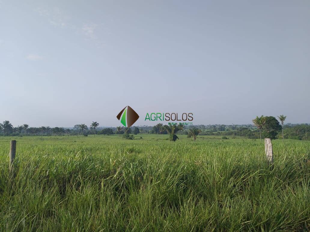 Terreno, 9500 m² - Foto 2