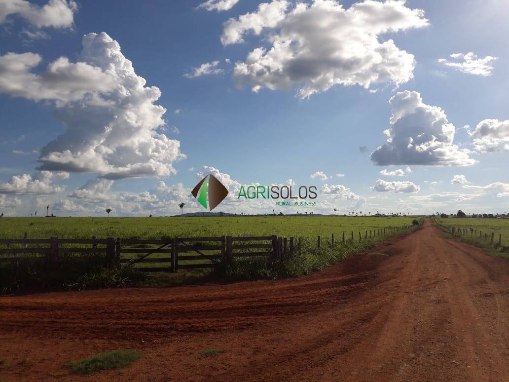 Terreno, 9500 m² - Foto 4