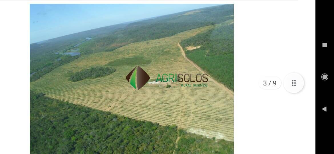 Terreno, 1 hectares - Foto 7