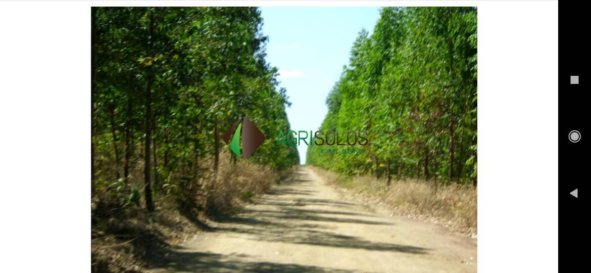 Terreno, 1 hectares - Foto 5