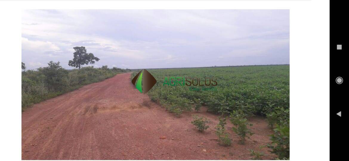 Terreno, 1 hectares - Foto 3