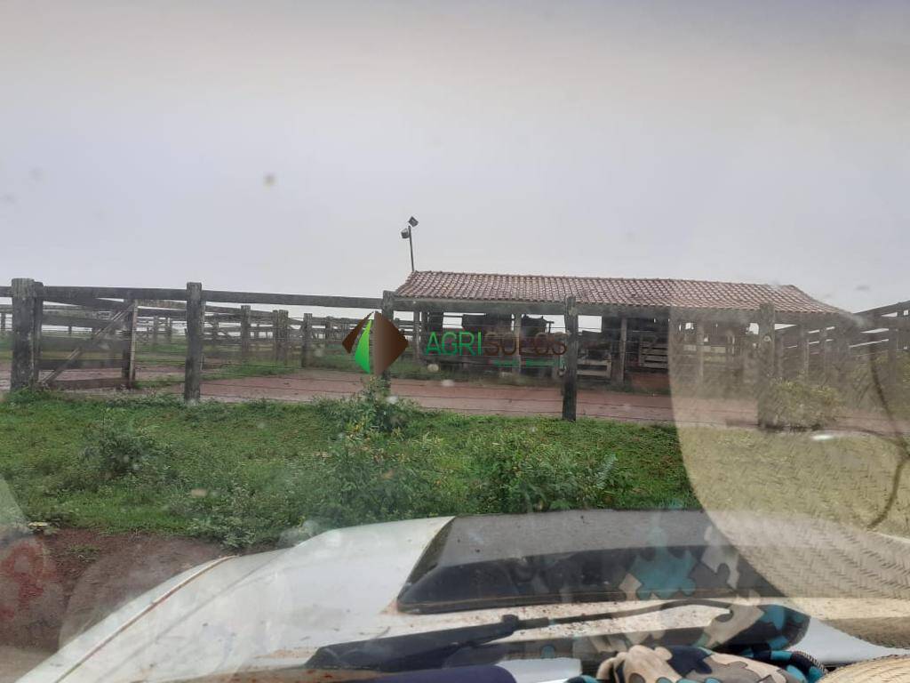 Terreno, 3 hectares - Foto 8